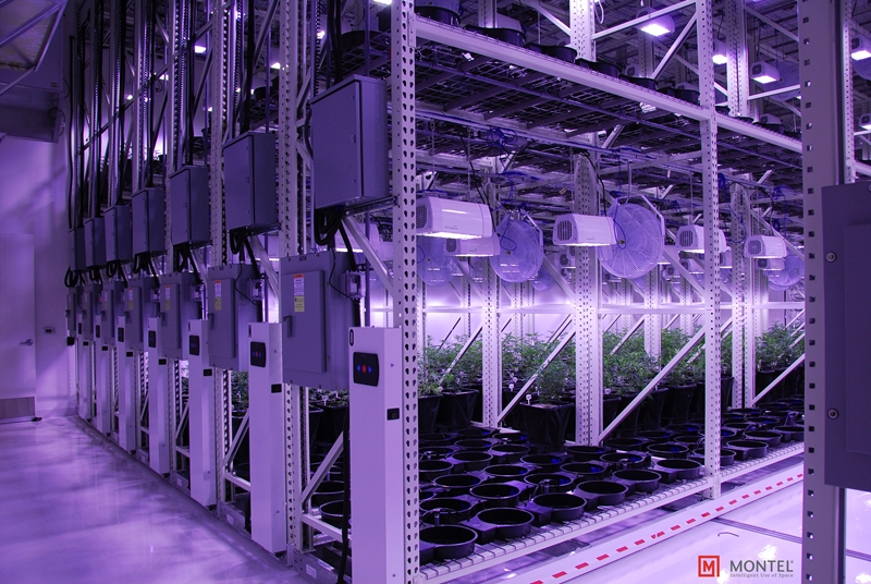 With mobile racking, you don't need more space to grow more plants.